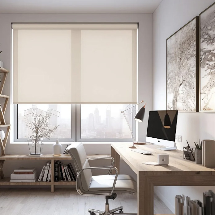 BASIX roller shades 